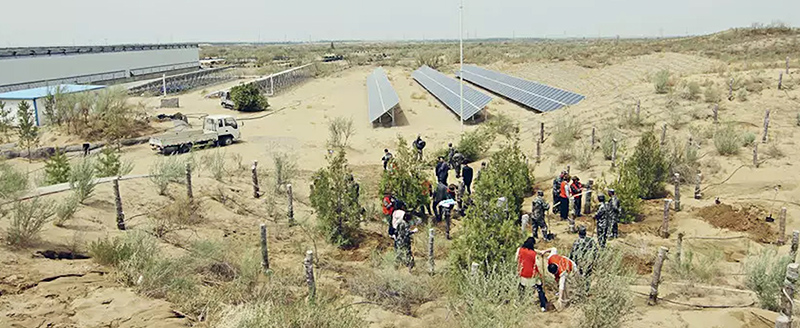 Pre-afforestation - Second project, Ningxia, China. Hanwha Solar Forest seeks to combat climate change through afforestation.