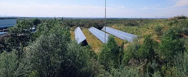 Post-afforestation - Second project, Ningxia, China. Hanwha Solar Forest seeks to combat climate change through afforestation.