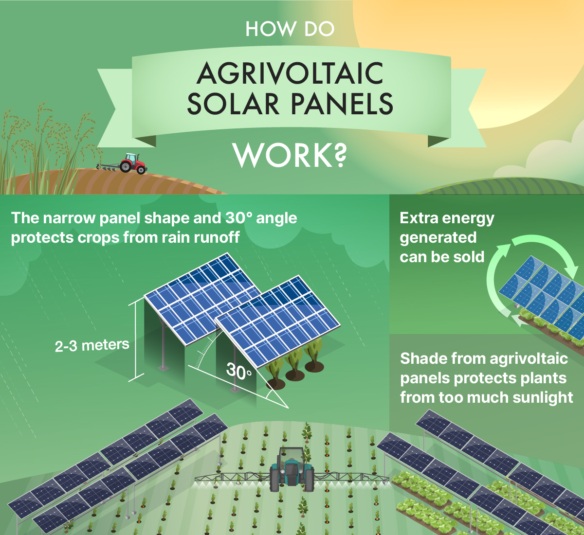 Solar panels used in agrivoltaics utilize a narrow shape and are installed at a 30 degree angle to protect crops.