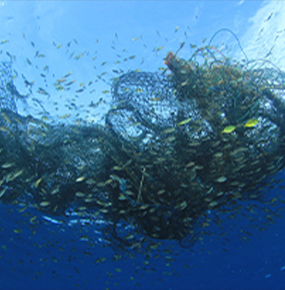 An estimated 14 million tons of plastic waste finds its way into our oceans and by upcycling plastic fishing nets into smartphone components and developing innovative PLA technology, Hanwha is combating ocean plastic pollution.