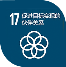 SDG 17: 目标合作伙伴