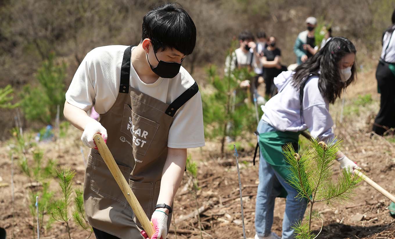 Over 530,000 trees have been planted across nearly a dozen locations through Hanwha Solar Forest's reforestation efforts. 
