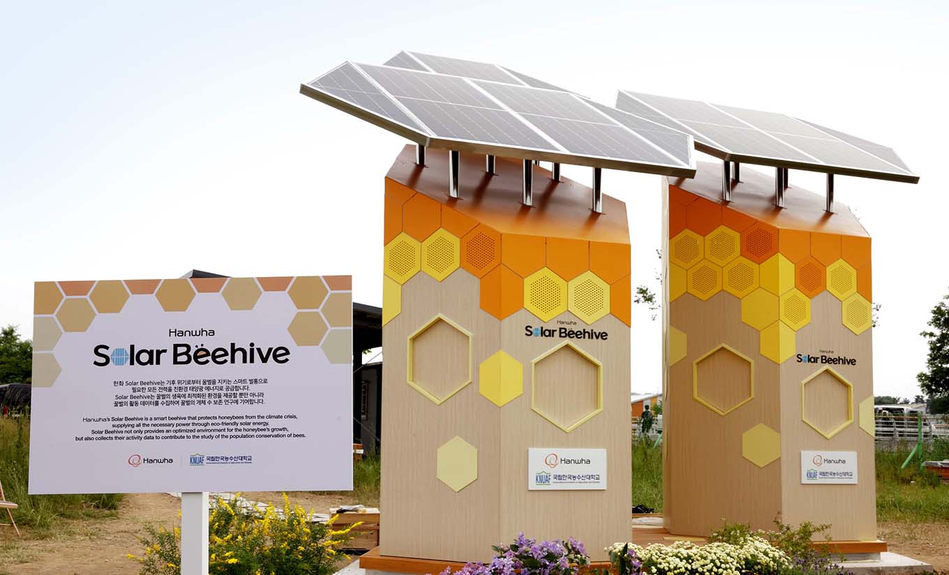 Hanwha's Solar Beehive campaign provides an nurturing environments for 40,000 bees, powered by solar energy.