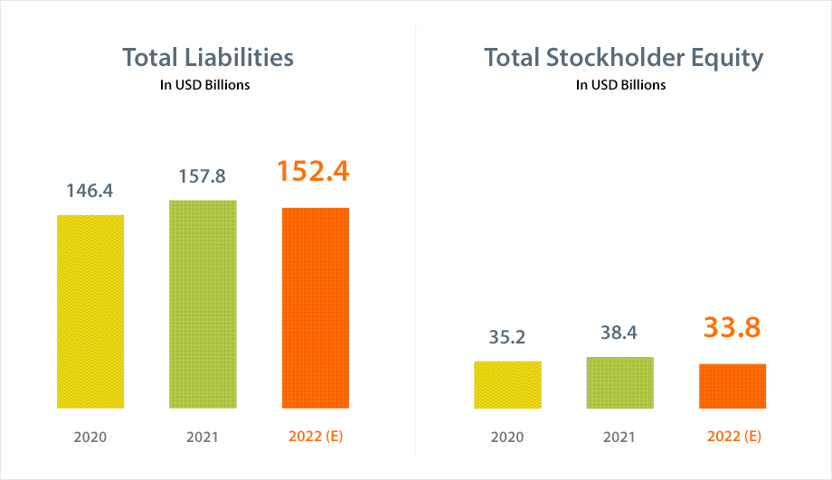 Total Asset Graph