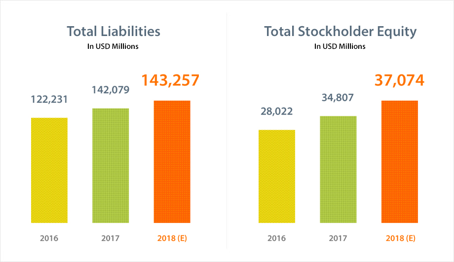 Total Asset Graph