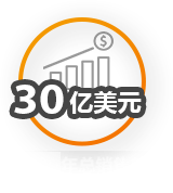 2020年总销售额：30亿美元