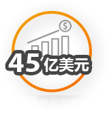 2020年总销售额：45亿美元