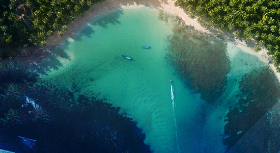 An aerial view of a coastline featuring a lush, dense green forest, narrow white-sand beach, and clear aquamarine water