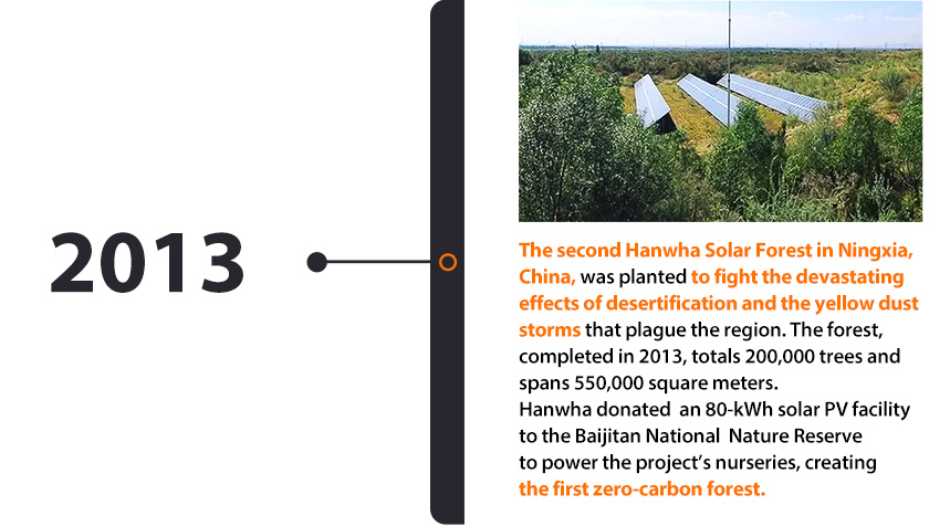 On a sunny day, a newly planted Hanwha Solar Forest surrounds lines of solar panels producing green energy