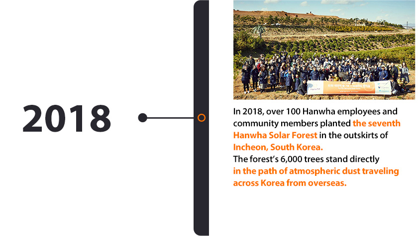 Dozens of Hanwha Solar Forest participants in Incheon, Korea pose for a photo in front of rows of carbon emissions reducing trees