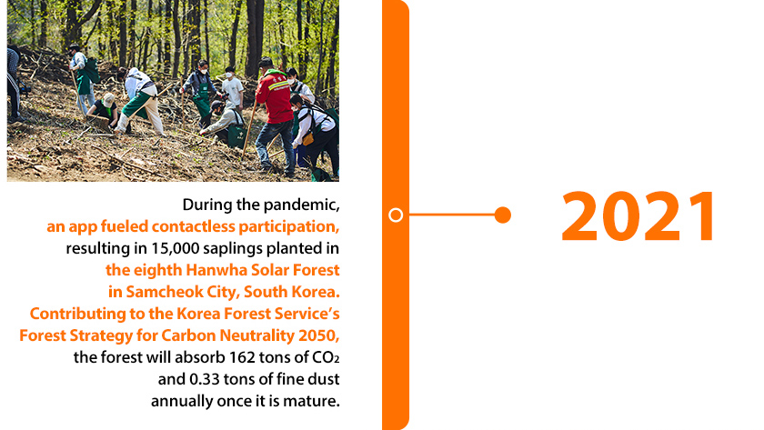 Hanwha Solar Fores participants plant trees on a hill to combat climate change in Samcheok City, Korea