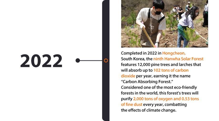 Participants for Hanwha Solar Forest plant one of the most eco-friendly forests in the world in Hongcheon, South Korea.