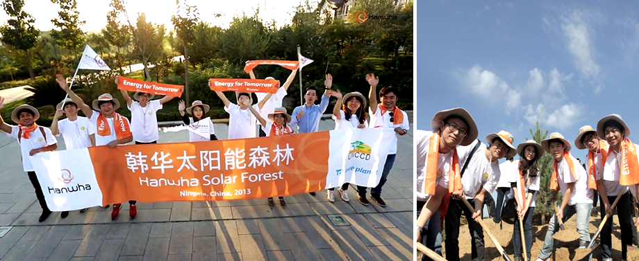 Hanwha Employees Planting Trees in Mu Us Desert