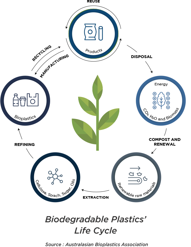 The Life Cycle of Biodegradable Plastics