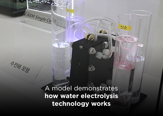 Getting to know how water electrolysis technology works to reduce carbon footprints this Earth Day