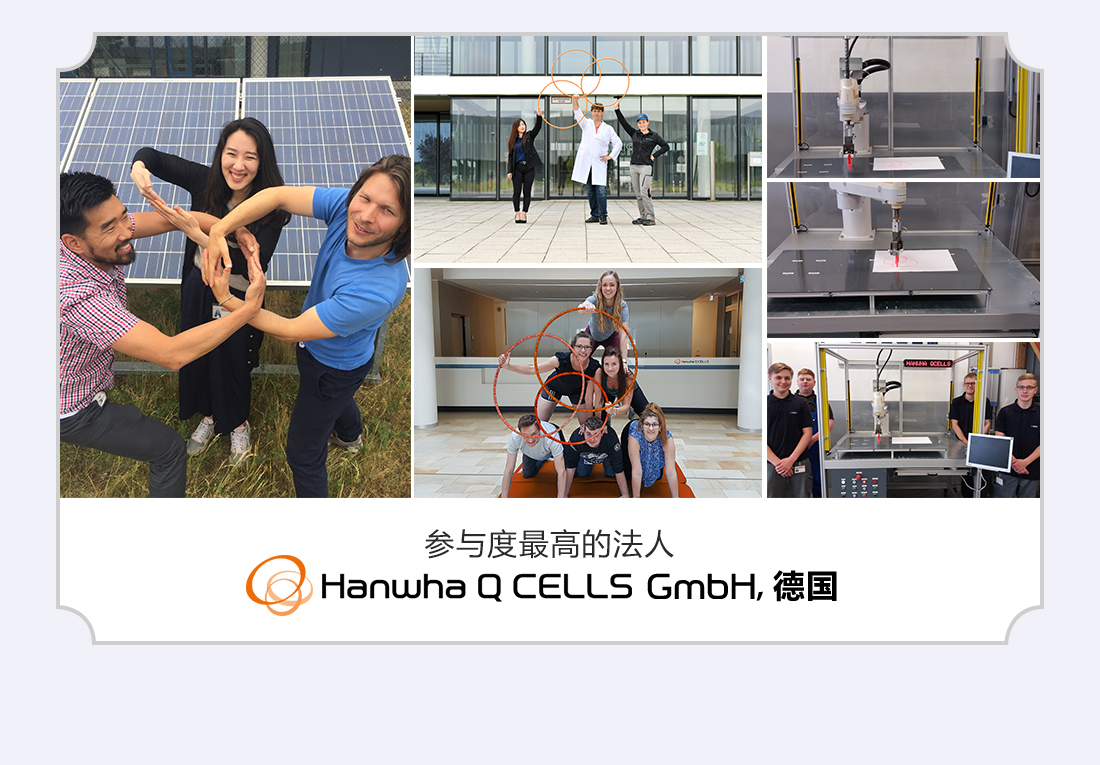 参与度最高的法人 Hanwha Q CELLS GmbH, 德国