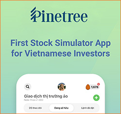 Pinetree 证券公司