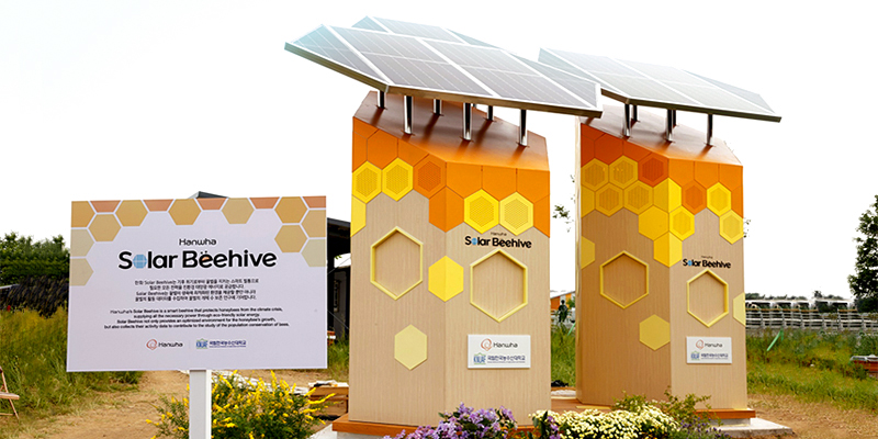 为了应对蜜蜂数量的减少以及气候变化的影响，韩华推出了太阳能蜂箱。