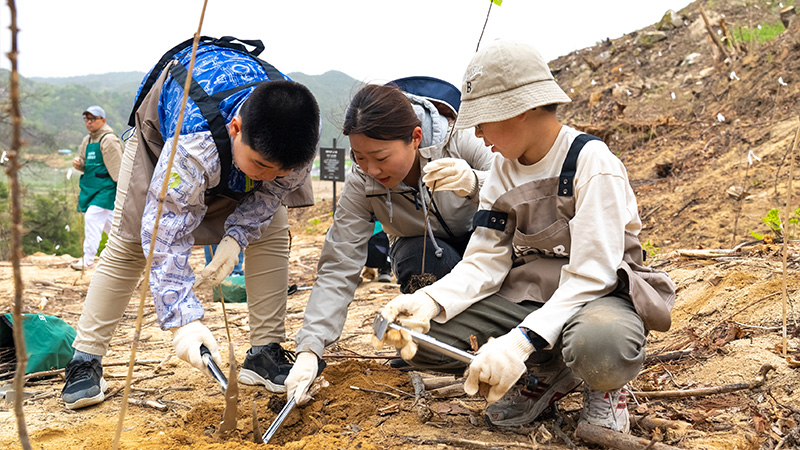 Hanwha planted native flowering trees to restore biodiversity in Bongwha, South Korea.