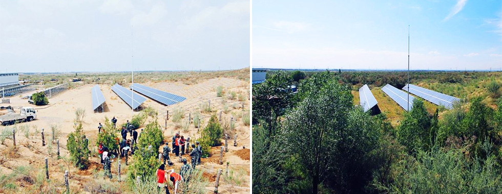 Hanwha’s donation of a solar power plant to this seedling nursery in Ningxia, China, marked the first time ever that a reforestation project was powered by renewable energy