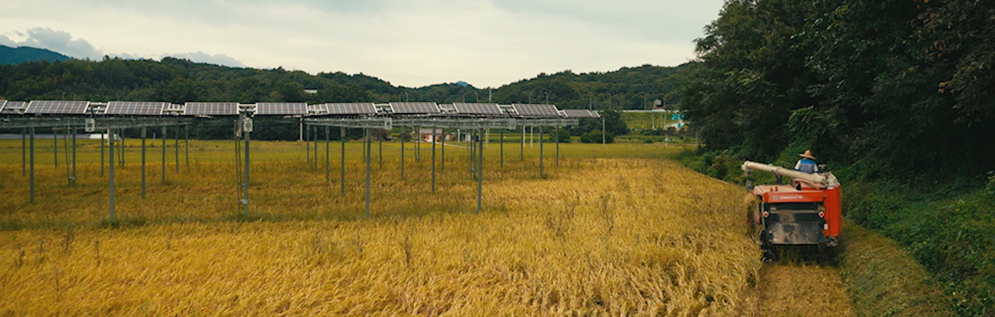 Agrivoltaics simultaneously uses land to grow crops and produce clean energy with solar panels.