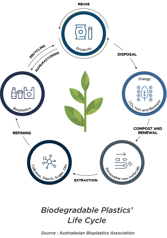 The life cycle of biodegradable plastics shows how sustainability will revolutionize packaging.