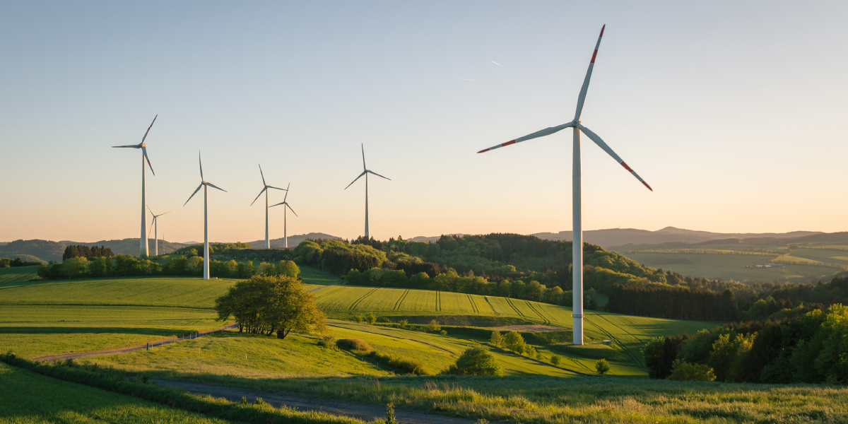 Wind turbines producing renewable energy dot a grassy landscape at sunset.