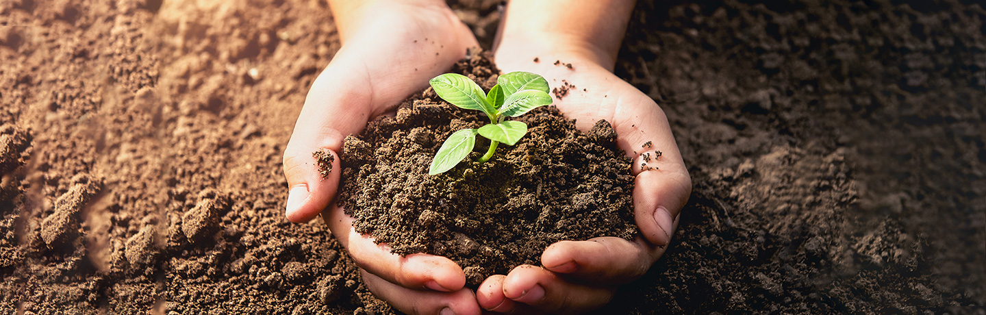 Better Soil, Better Life: 5 Ways Companiesand Communities Can Celebrate World Soil Day Key visual image