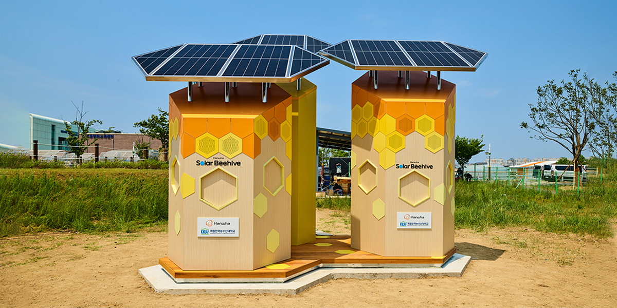Hanwha’s solar beehive offers a climate-controlled, solar-powered home to protect bees.