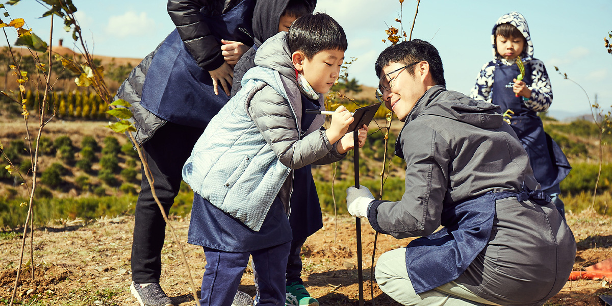 Hanwha has planted nine solar forests so far.