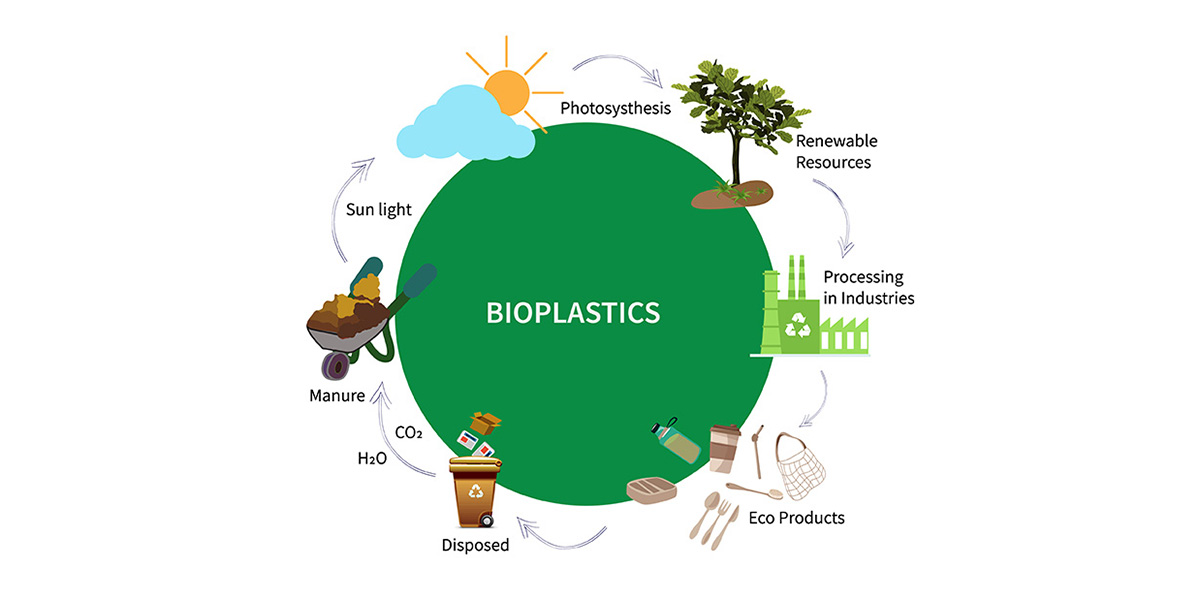 Biodegradable plastics easily return to the soil, making them an eco-friendly alternative to traditional plastics.