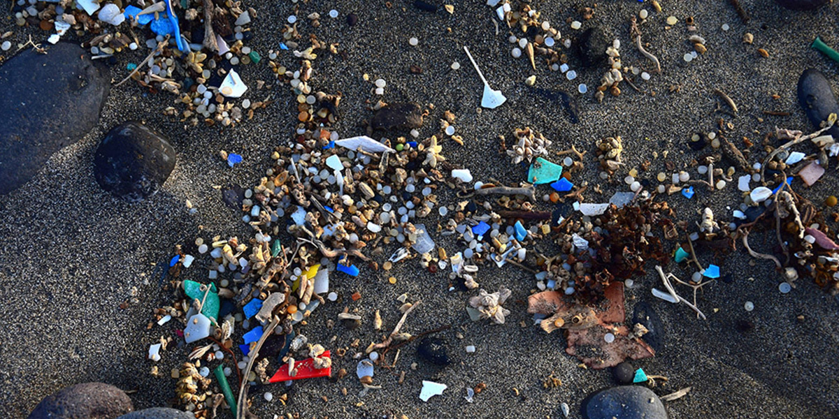Microplastic pollution in the soil is a global problem.