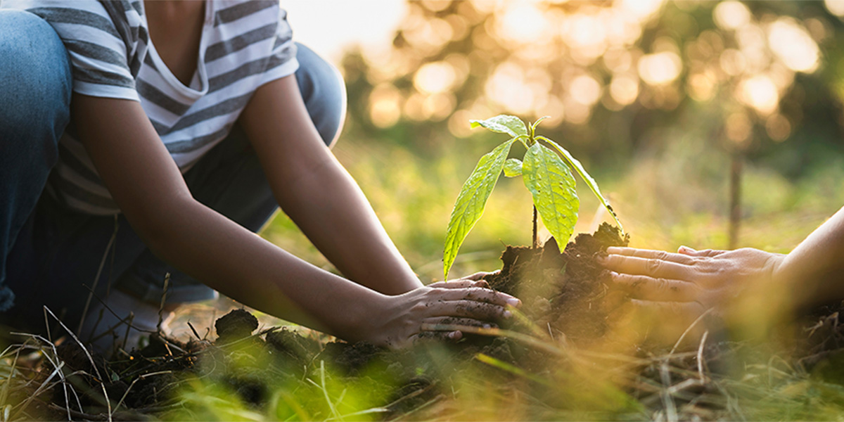 Planting trees is a great way to help the soil and the Earth.