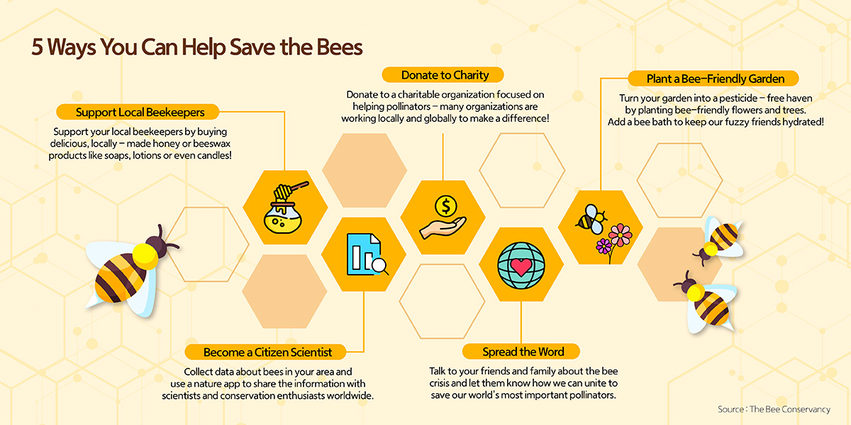 From planting a bee garden to stopping the use of pesticides, there are many ways you can save the bees at home.
