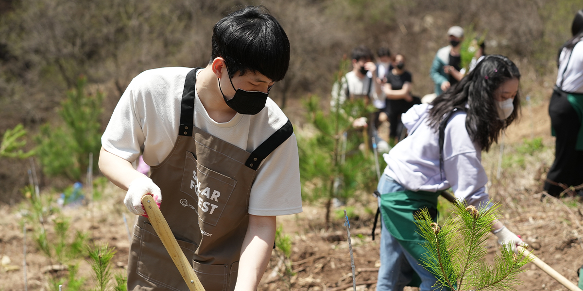 Two young people plant trees at a Hanwha Solar Forest site.