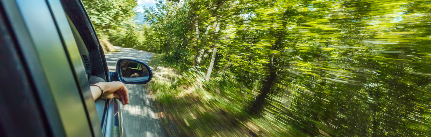 A car speeds down a tree-lined road with windows rolled down