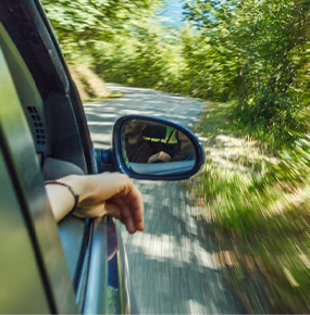 A car speeds down a tree-lined road with windows rolled down