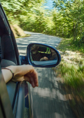 A car speeds down a tree-lined road with windows rolled down