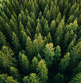 Hanwha has join the WEF’s 1t.org Trillion Trees Platform by pledging to plant solar forests by 2030.