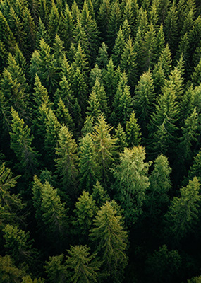 Hanwha has join the WEF’s 1t.org Trillion Trees Platform by pledging to plant solar forests by 2030.