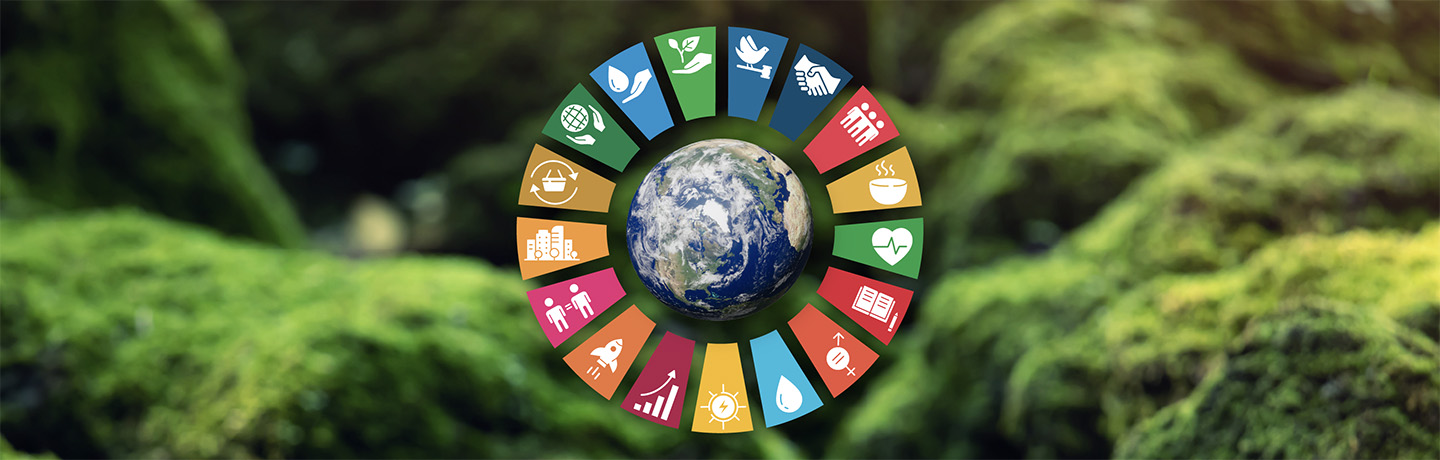 Hanwha is committed to doing its part to drive progress on the SDGs.