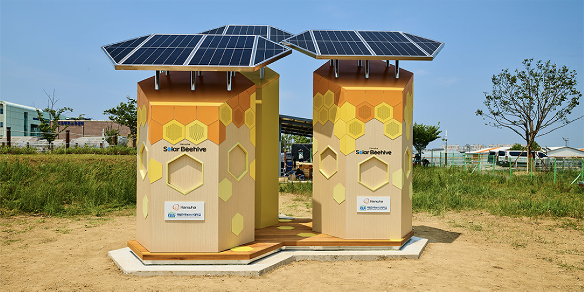 Hanwha’s Solar Beehive offers bees a safe, clean environment to live in.