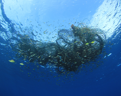 An estimated 14 million tons of plastic waste finds its way into our oceans and by upcycling plastic fishing nets into smartphone components and developing innovative PLA technology, Hanwha is combating ocean plastic pollution. 