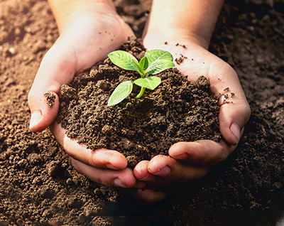 Hanwha has compiled a list of five ways anyone can celebrate World Soil Day.