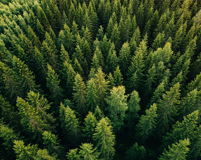 Hanwha has join the WEF’s 1t.org Trillion Trees Platform by pledging to plant solar forests by 2030.