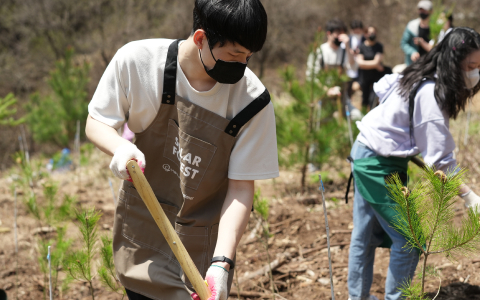 Hanwha’s Solar Forest campaign has planted over half a million trees across Asia.