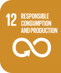 12 RESPONSIBLE CONSUMPTION AND PRODUCTION