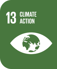 13 CLIMATE ACTION