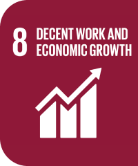 8 DECENT WORK AND ECONOMIC GROWTH