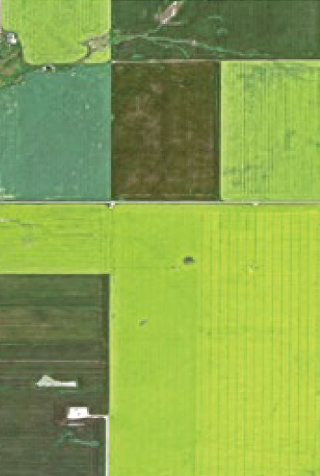 Satellite image of farmland used for crop growth monitoring, smart farming operations, and agricultural land management